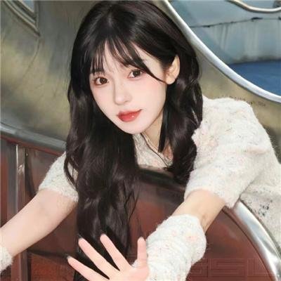 状王宋世杰2国语