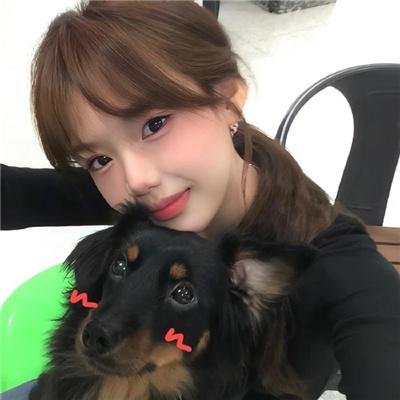 灵犬莱西